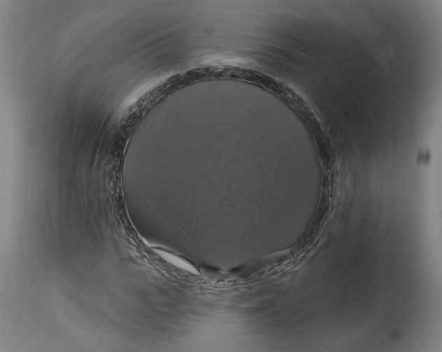 X0000114610919200911101148