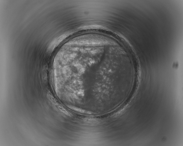 X0000114610921200911101149