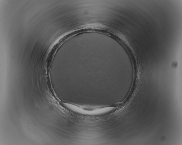 X0000114610923200911101149