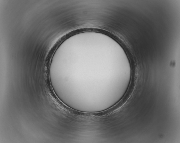 X0000114610926200911101149