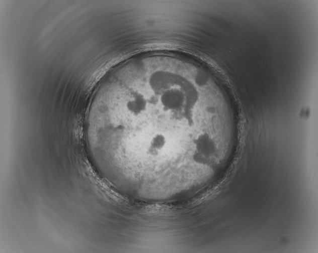 X0000114610929200911101149