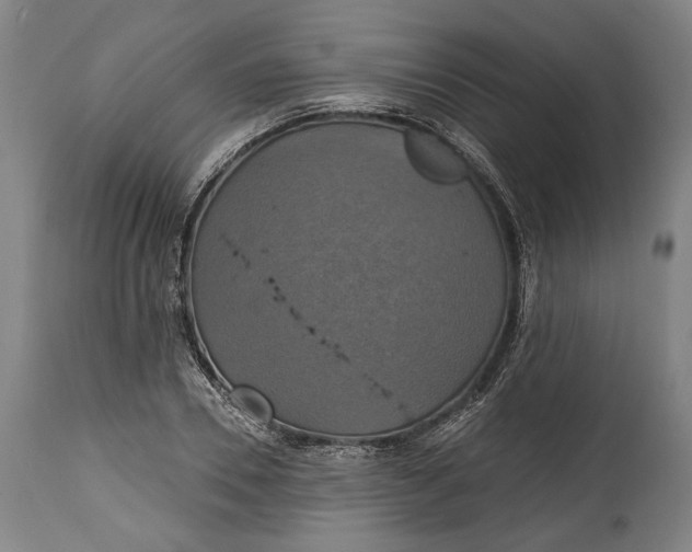 X0000114610930200911101149