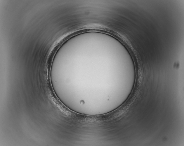 X0000114610931200911101149