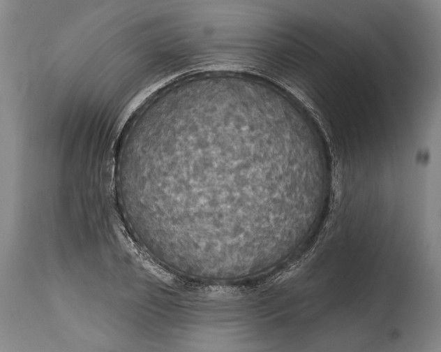 X0000114610933200911101149