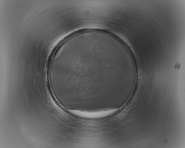 X0000114610935200911101149