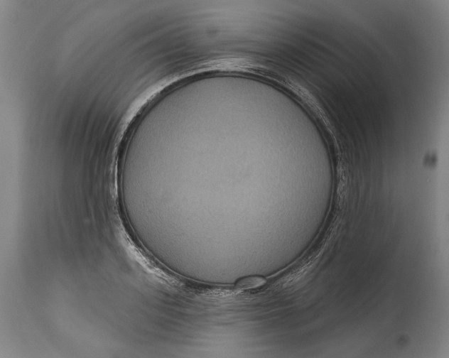 X0000114610939200911101149