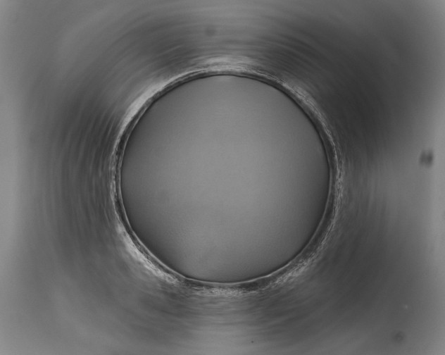 X0000114610941200911101149