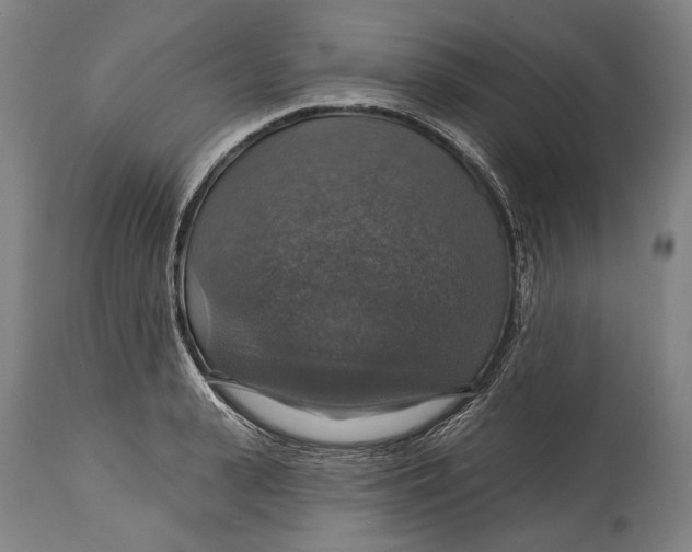 X0000114610943200911101149