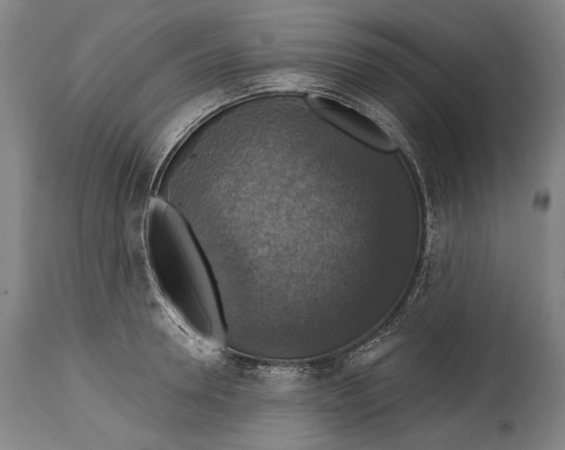 X0000114610946200911101149