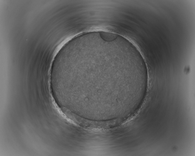 X0000114610949200911101149