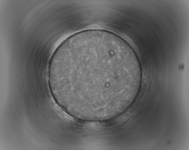 X0000114610950200911101149