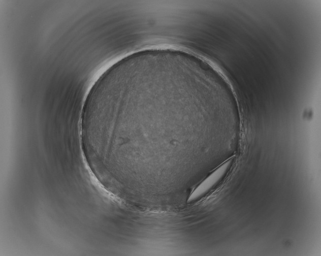 X0000114610951200911101149