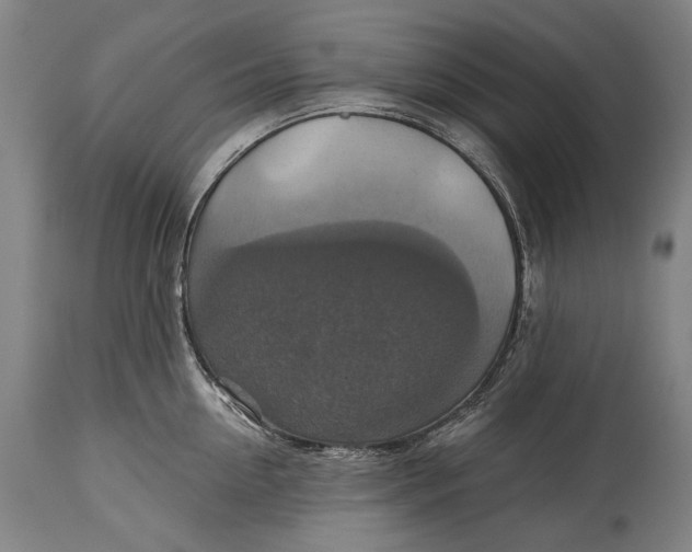 X0000114610954200911101149