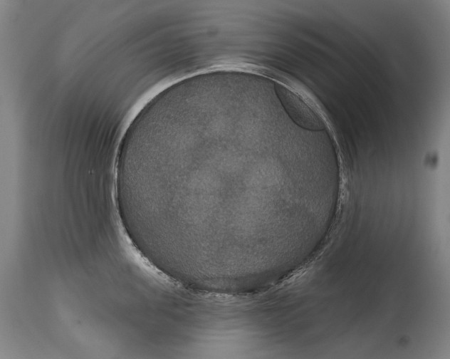 X0000114610955200911101149