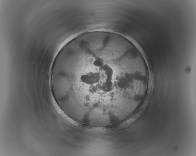 X0000114610957200911101149