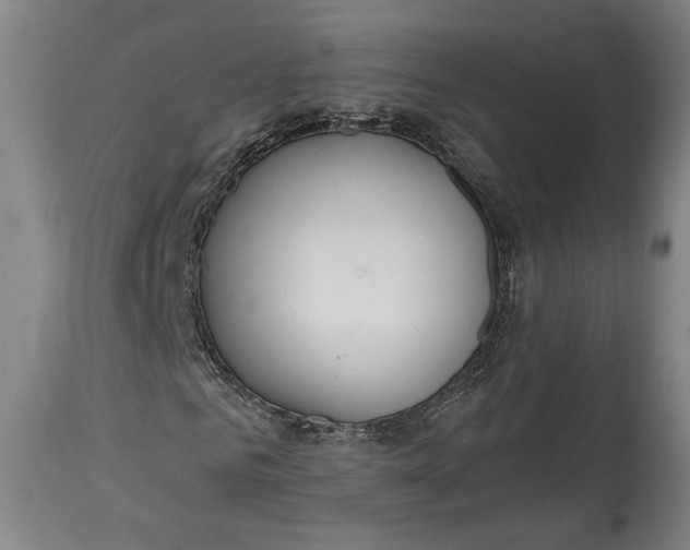 X0000114610961200911101148