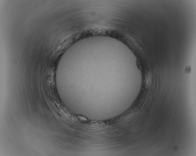 X0000114610964200911101148