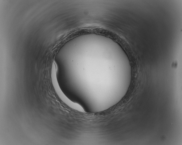 X0000114610965200911101148