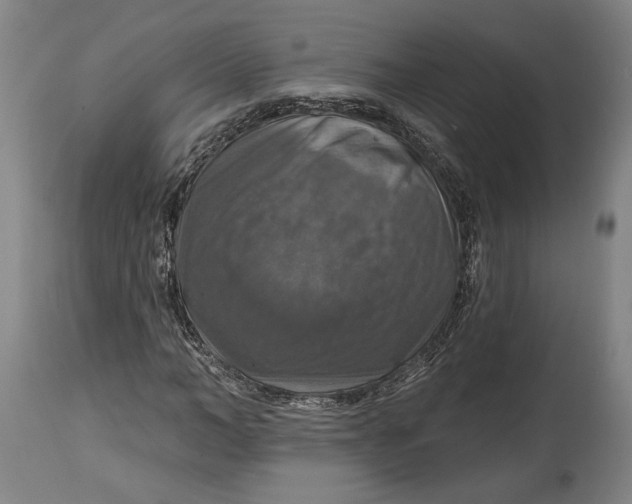 X0000114610966200911101148