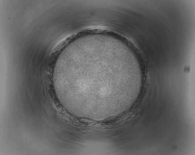 X0000114610967200911101148