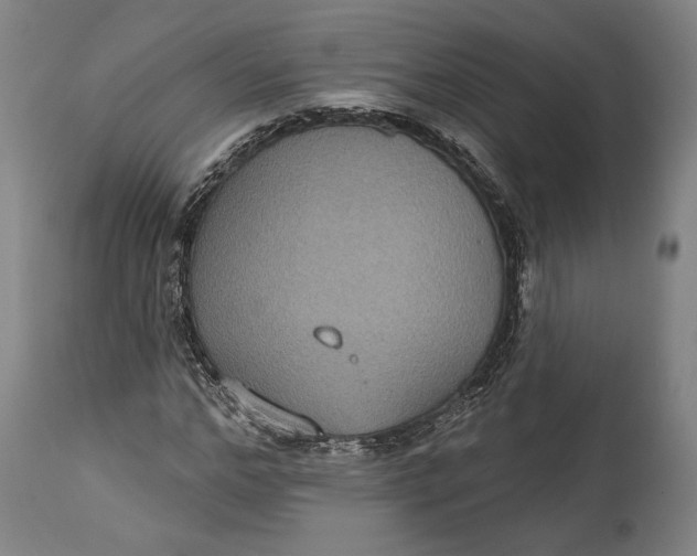 X0000114610968200911101148