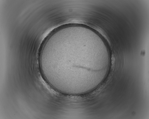 X0000114610972200911101148