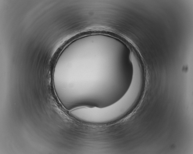 X0000114610973200911101148