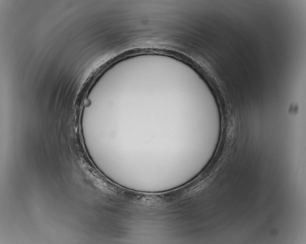 X0000114610974200911101148