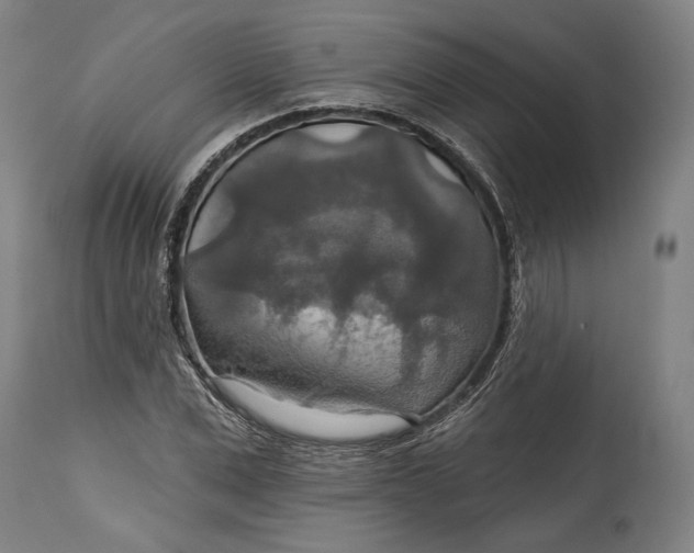 X0000114610975200911101148