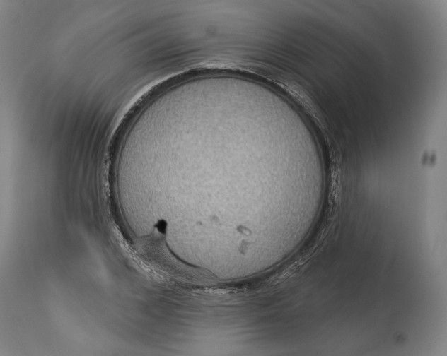 X0000114610976200911101148