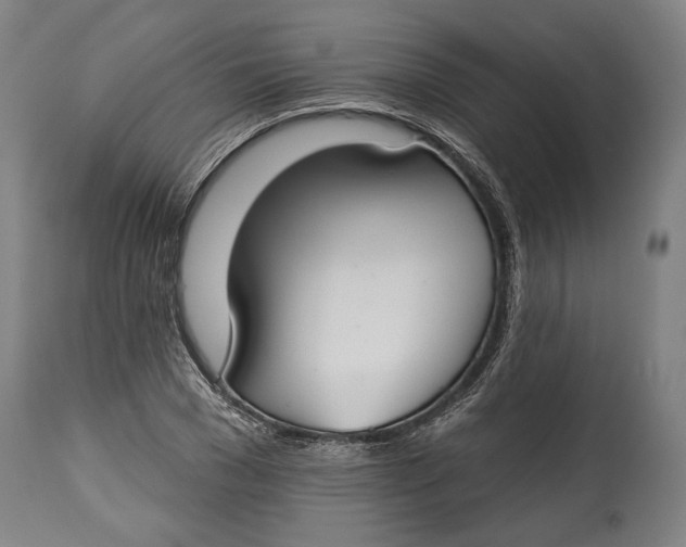 X0000114610977200911101148