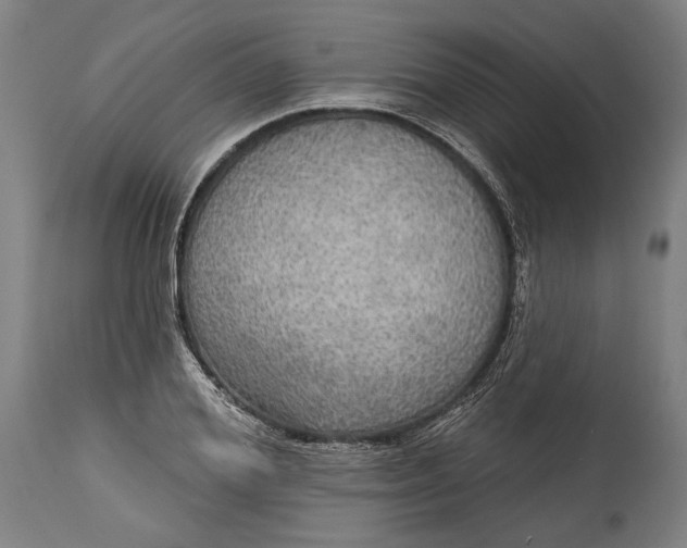 X0000114610980200911101148