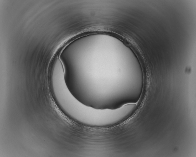 X0000114610981200911101148