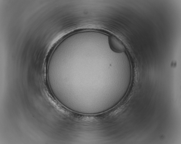 X0000114610982200911101148