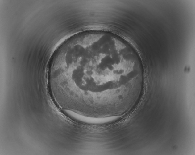 X0000114610983200911101148