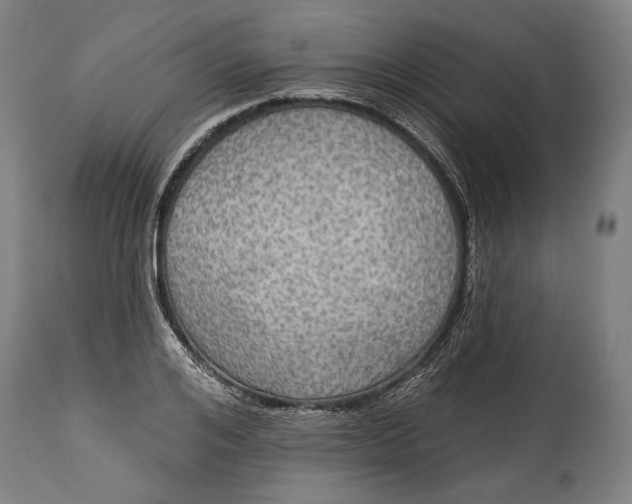 X0000114610984200911101148