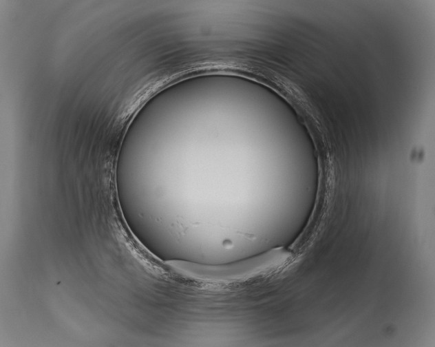 X0000114610985200911101148