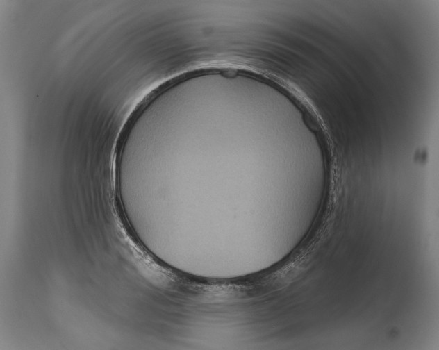 X0000114610988200911101148