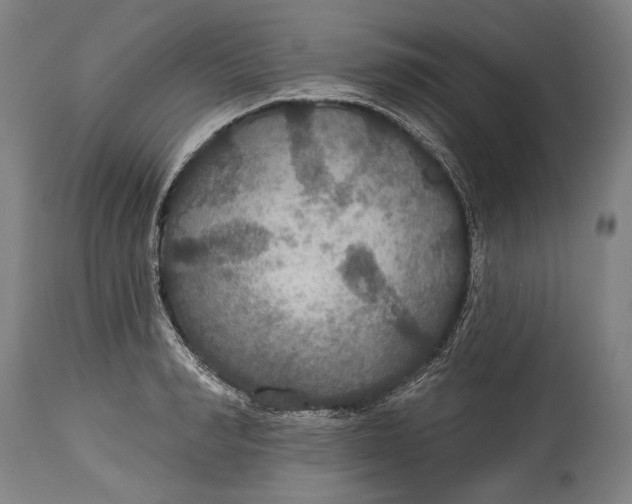 X0000114610990200911101148