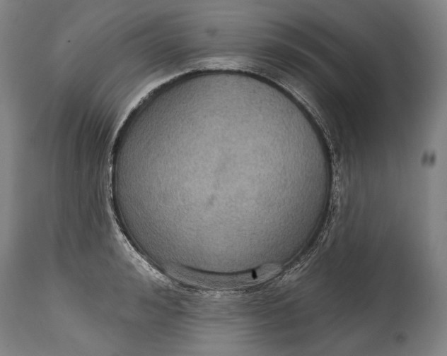 X0000114610992200911101148