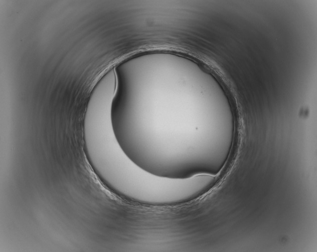 X0000114610993200911101148