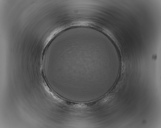 X0000114610994200911101148