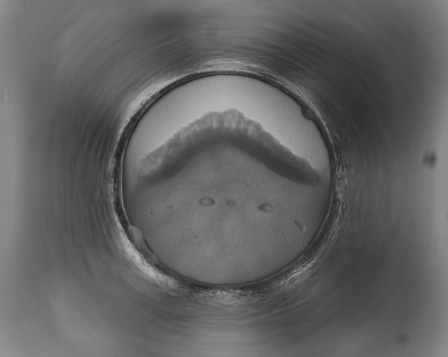 X0000114610995200911101148