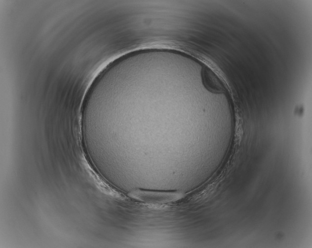 X0000114610996200911101148