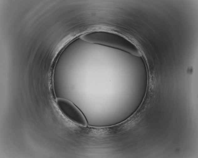 X0000114610997200911101148