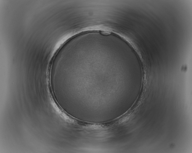 X0000114610998200911101148