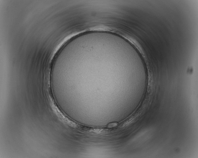 X0000114611000200911101148