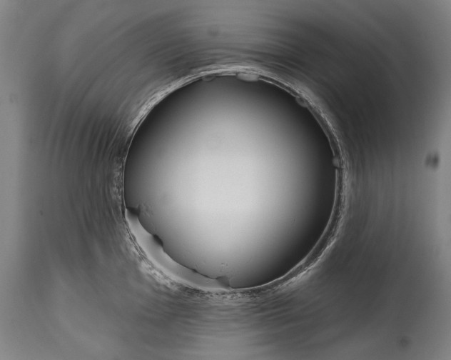 X0000114611001200911101148