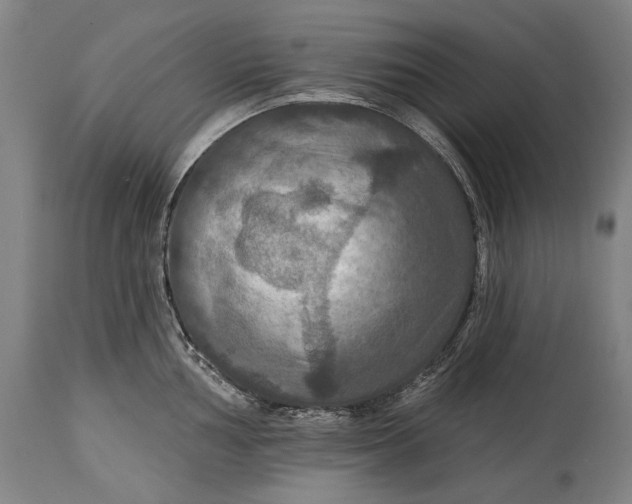 X0000114611002200911101148