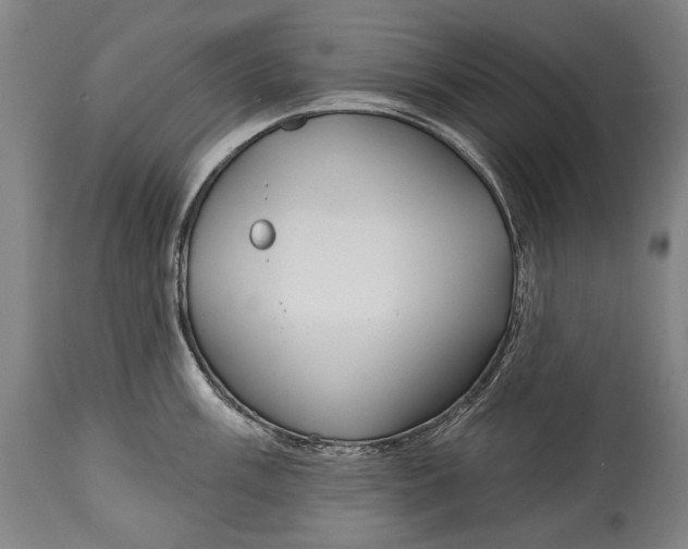 X0000114611003200911101148